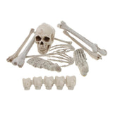 Maxbell Horrific Skeleton Bones 12 Pieces with Skull for Halloween Party Decorations
