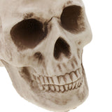 Maxbell Horrific Skeleton Bones 12 Pieces with Skull for Halloween Party Decorations