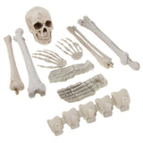 Maxbell Horrific Skeleton Bones 12 Pieces with Skull for Halloween Party Decorations