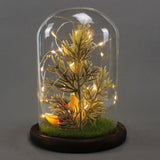 Maxbell Christmas Pine Tree USB Light Micro Landscape Glass Cover Dome Bell Jar Cloche Table Decor Ornaments - Aladdin Shoppers