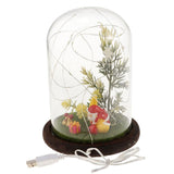 Maxbell Christmas Pine Tree USB Light Micro Landscape Glass Cover Dome Bell Jar Cloche Table Decor Ornaments - Aladdin Shoppers