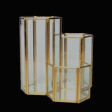 Maxbell Modern Hexagon Brass Glass Geometric Terrarium Succulent Planter Pen Stationery Box Wedding Favor - Aladdin Shoppers