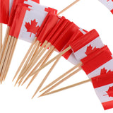 100 Pieces Decorative Flag Toothpicks Party Food Decorations Canada