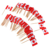 100 Pieces Decorative Flag Toothpicks Party Food Decorations Canada