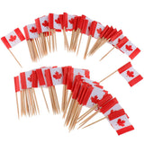 100 Pieces Decorative Flag Toothpicks Party Food Decorations Canada