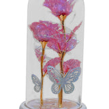 Maxbell Maxbell Preserved Flower Valentines Day Gifts for Birthday Engagement Special Moment Rose Red