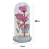 Maxbell Maxbell Preserved Flower Valentines Day Gifts for Birthday Engagement Special Moment Rose Red