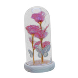 Maxbell Maxbell Preserved Flower Valentines Day Gifts for Birthday Engagement Special Moment Rose Red