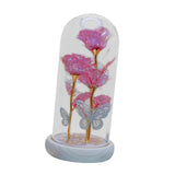 Maxbell Maxbell Preserved Flower Valentines Day Gifts for Birthday Engagement Special Moment Rose Red