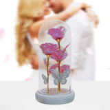 Maxbell Maxbell Preserved Flower Valentines Day Gifts for Birthday Engagement Special Moment Rose Red