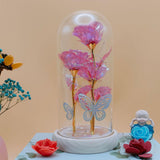 Maxbell Maxbell Preserved Flower Valentines Day Gifts for Birthday Engagement Special Moment Rose Red