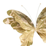 Maxbell 3D Artificial Butterfly Decor Wedding for Housewarming Festivals Living Room Light Gold