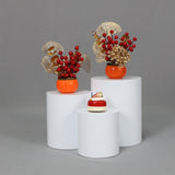 Maxbell 3 Pieces Cylinder Pedestal Cake Stand Round Pedestal for Wedding Anniversary White