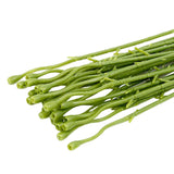 Maxbell 20Pcs Floral Wire Stems Decor for Flower Arrangements for Party Home Wedding