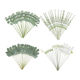 Maxbell 65 Pieces Artificial Eucalyptus Stems Decor for Wedding Farmhouse Restaurant