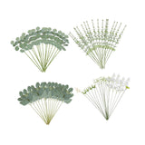 Maxbell 65 Pieces Artificial Eucalyptus Stems Decor for Wedding Farmhouse Restaurant