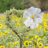 Maxbell Wedding Giant Flower Decoration Versatile Props for Holiday Ceremony Banquet Diameter 30cm