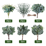 Maxbell 6 Kinds Mixed Eucalyptus Leaves Stems for Floral Arrangement Engagement Vase