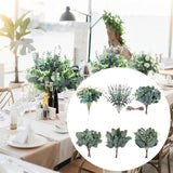 Maxbell 6 Kinds Mixed Eucalyptus Leaves Stems for Floral Arrangement Engagement Vase