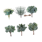 Maxbell 6 Kinds Mixed Eucalyptus Leaves Stems for Floral Arrangement Engagement Vase