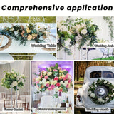 Maxbell 6 Kinds Mixed Eucalyptus Leaves Stems for Floral Arrangement Engagement Vase