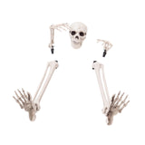 Maxbell Skeleton Stakes Lawn Decoration Outdoor Yard Lawn Stake for Party Porch Lawn