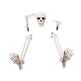 Maxbell Skeleton Stakes Lawn Decoration Outdoor Yard Lawn Stake for Party Porch Lawn