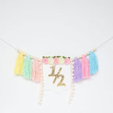 Maxbell Half Birthday Highchair Banner Backdrop Decor for Photo Prop Gift Boys Girls Pink No Hat