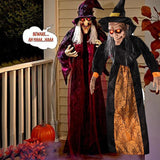 Maxbell Halloween Hanging Witch 67” for Indoor and Outdoor Garden Theme Party Favors Yellow