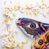 Maxbell Moth Wing Kids Comfortable Cute Decor Small for Boys Girls Children Dress up