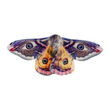 Maxbell Moth Wing Kids Comfortable Cute Decor Small for Boys Girls Children Dress up