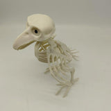 Maxbell Halloween Crow Skeleton Decoration Simulation for Office Desktop Living Room