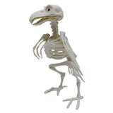 Maxbell Halloween Crow Skeleton Decoration Simulation for Office Desktop Living Room