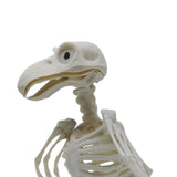 Maxbell Halloween Crow Skeleton Decoration Simulation for Office Desktop Living Room