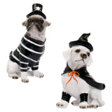 Maxbell Halloween Dog Statue Art Craft Accent Ornament for Living Room Balcony Patio Pirate