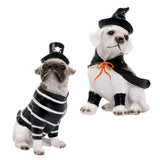 Maxbell Halloween Dog Statue Art Craft Accent Ornament for Living Room Balcony Patio Pirate