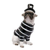 Maxbell Halloween Dog Statue Art Craft Accent Ornament for Living Room Balcony Patio Pirate