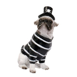 Maxbell Halloween Dog Statue Art Craft Accent Ornament for Living Room Balcony Patio Pirate