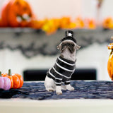 Maxbell Halloween Dog Statue Art Craft Accent Ornament for Living Room Balcony Patio Pirate