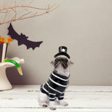 Maxbell Halloween Dog Statue Art Craft Accent Ornament for Living Room Balcony Patio Pirate