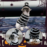Maxbell Halloween Dog Statue Art Craft Accent Ornament for Living Room Balcony Patio Pirate