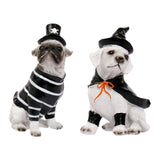 Maxbell Halloween Dog Statue Art Craft Accent Ornament for Living Room Balcony Patio Pirate