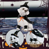 Maxbell Halloween Dog Statue Art Craft Accent Ornament for Living Room Balcony Patio Witch