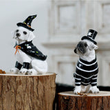 Maxbell Halloween Dog Statue Art Craft Accent Ornament for Living Room Balcony Patio Witch
