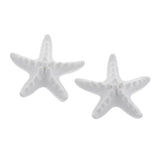 Maxbell 4 Pieces Seastar Aroma Fragrance Stone DIY Essential Oil Diffuser Home Decor