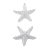 Maxbell 4 Pieces Seastar Aroma Fragrance Stone DIY Essential Oil Diffuser Home Decor