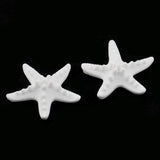 Maxbell 4 Pieces Seastar Aroma Fragrance Stone DIY Essential Oil Diffuser Home Decor