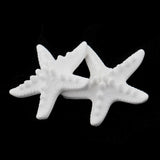 Maxbell 4 Pieces Seastar Aroma Fragrance Stone DIY Essential Oil Diffuser Home Decor