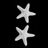 Maxbell 4 Pieces Seastar Aroma Fragrance Stone DIY Essential Oil Diffuser Home Decor