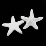 Maxbell 4 Pieces Seastar Aroma Fragrance Stone DIY Essential Oil Diffuser Home Decor